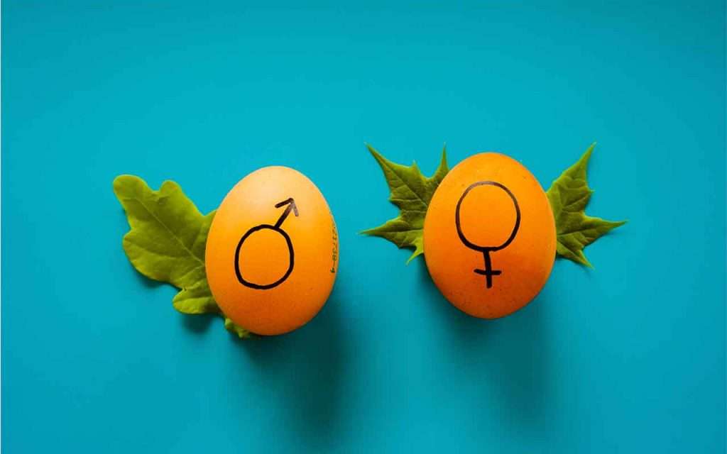 fertilidad masculina y femenina 